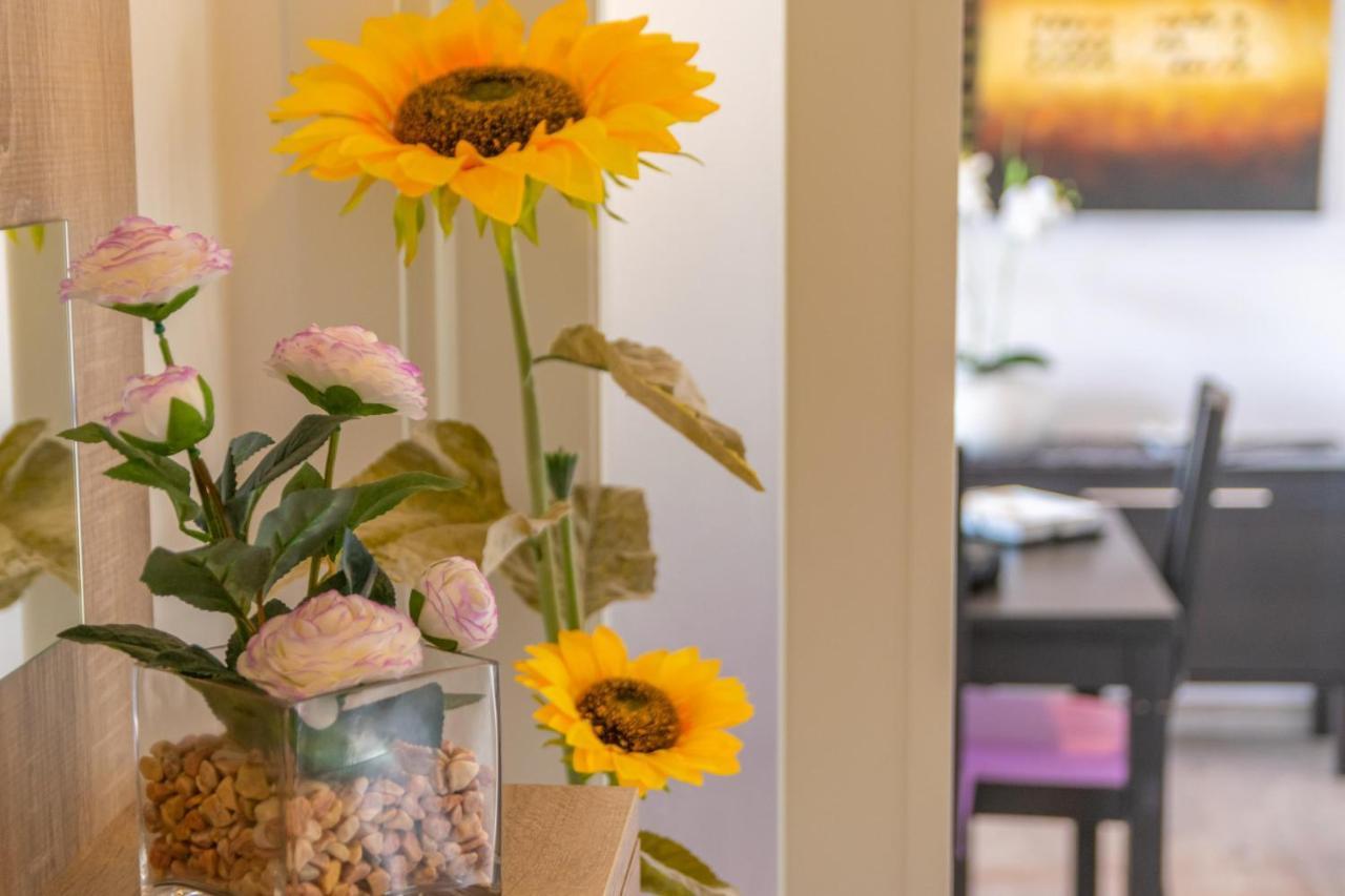 Casa Pilar Apartment Alcudia (Mallorca)